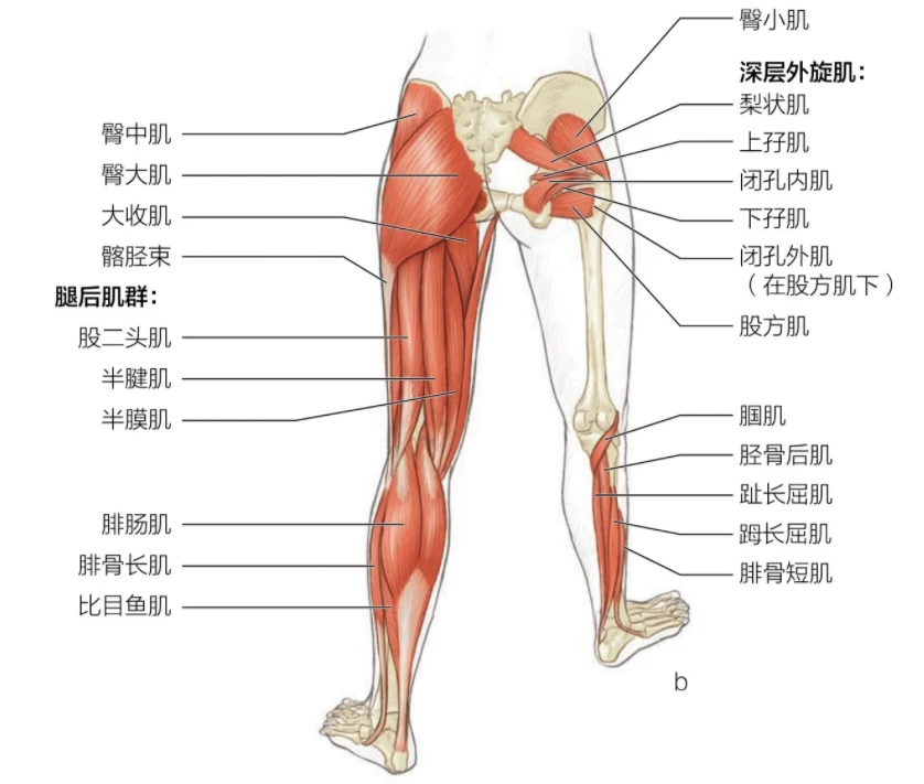 哪里可以找到关于减轻篮球训练压力的方法?_1